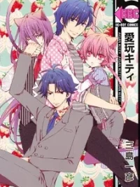 Cover image of Aigan Kitty
