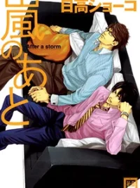 Cover image of Arashi no Ato