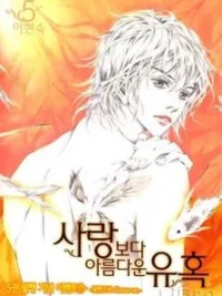 Cover image of Beautiful Fascination Is Better Than Love