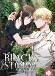 Cover image of Black Storm