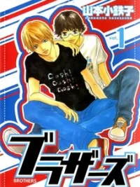 Cover image of Brothers (YAMAMOTO Kotetsuko)