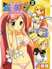 Cover image of Dokidoki Majo Shinpan!