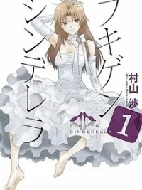 Cover image of Fukigen Cinderella
