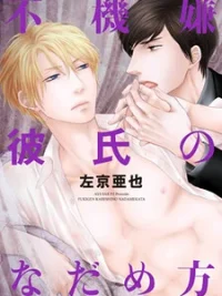 Cover image of Fukigen Kareshi no Nadamekata