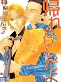 Cover image of Kaerenaindayo