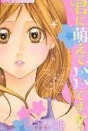 Cover image of Kimi ni Moete Ii desu ka?