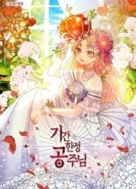 Cover image of Limited Time Princess