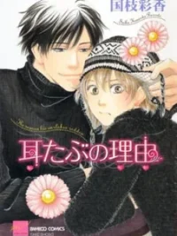 Cover image of Mimitabu no Riyuu