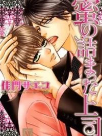 Cover image of Mitsu no Tsumatta Joushi