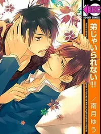 Cover image of Otouto ja Irarenai!!