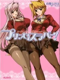 Cover image of Princess Lover!