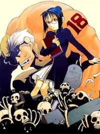 Cover image of Raiden-18