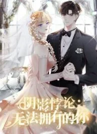 Cover image of Shadow Paradox