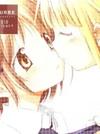 Cover image of Square (apricot+)