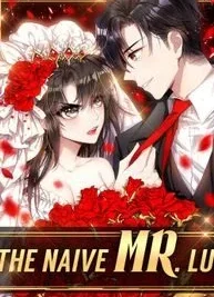 Cover image of The Naive Mr. Lu