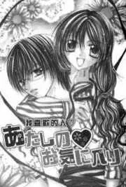 Cover image of Atashi no Okiniiri