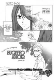 Cover image of Fugitto Amor