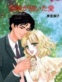 Cover image of Gokai ga Maneita Ai