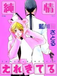 Cover image of Junjou Electric