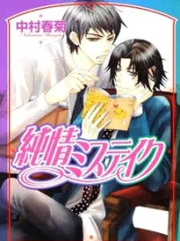 Cover image of Junjou Mistake