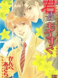 Cover image of Kimi Made Mousugu