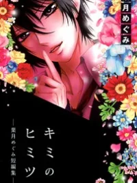 Cover image of Kimi no Himitsu
