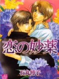 Cover image of Koi no Myouyaku