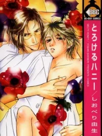 Cover image of Melty Honey