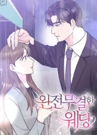 Cover image of My Boss’s Perfect Wedding