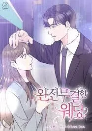 Cover image of My Bosss’s Perfect Wedding