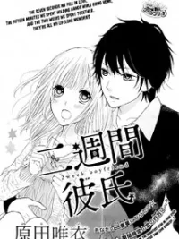 Cover image of Nishuukan Kareshi