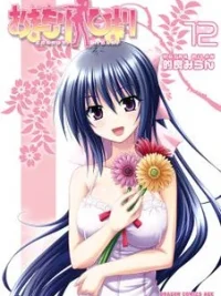 Cover image of Omamori Himari