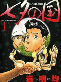 Cover image of Tanabata no Kuni