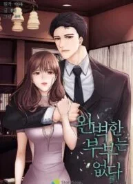 Cover image of There Is No Perfect Married Couple