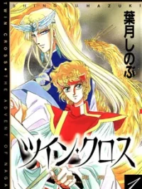 Cover image of Twin Cross