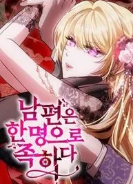 Cover image of One Husband Is Enough