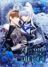 Cover image of To the Witch Who Forgot the Birds