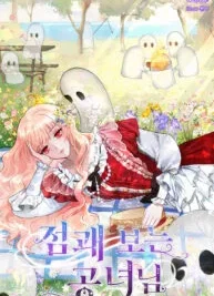 Cover image of A Fortune-Telling Princess