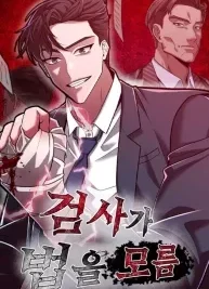 Cover image of The Prosecutor Doesn’t Know The Law